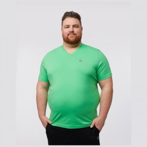 Big & Tall Psycho Bunny Big And Tall Classic V Neck Tee Hombre Verdes | JO4735926