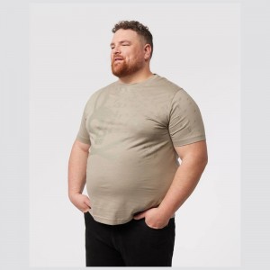 Big & Tall Psycho Bunny Big And Tall Mullen Graphic Tee Hombre 357 Wet Sand | XB2564108