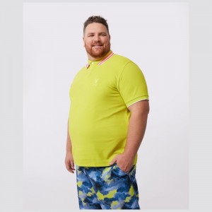 Big & Tall Psycho Bunny Big And Tall Newell Fashion Polo Hombre 332 Venetian | AM5497603