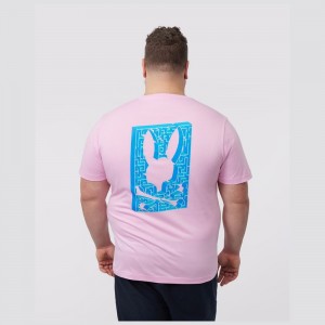 Big & Tall Psycho Bunny Big And Tall Pisani Graphic Tee Hombre Rosas | TD7820154
