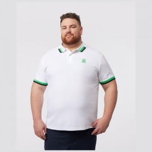 Big & Tall Psycho Bunny Big And Tall Pisani Pique Fashion Polo Hombre Blancos | IC4392657