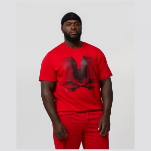 Big & Tall Psycho Bunny Big And Tall Turing Graphic Tee Hombre Rojos | YW4079521