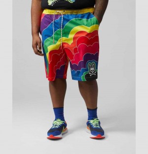 Big & Tall Psycho Bunny Chelton Swim Shorts Hombre 738 Neon Bolt | IY9046132