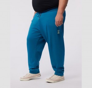 Big & Tall Psycho Bunny Gresham Embroidered Sweat Pants Hombre 434 Aegean Sea | IB6502893