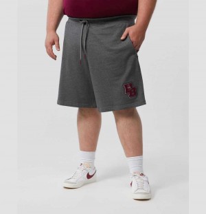 Big & Tall Psycho Bunny Patchin Chenille Bunny Logo Sweat Shorts Hombre 498 Heather Storm | VX5631402