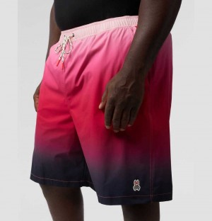 Big & Tall Psycho Bunny Rickman Swim Shorts Hombre Azul Marino | WU0197635