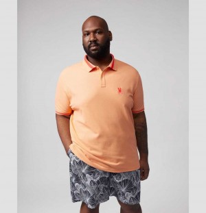 Big & Tall Psycho Bunny Shaw Polo Hombre 834 Sunset Sky | QG1735826