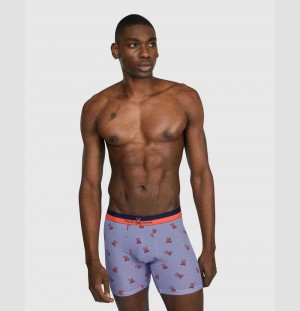 Boxer Briefs Psycho Bunny 2 Pack Printed Boxer Briefs Hombre Azul Marino Azules | EA2548169