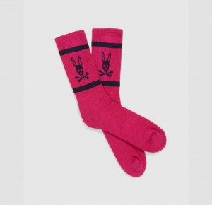 Calcetines Psycho Bunny Classic Hombre 653 Wild Berry | DH7462083