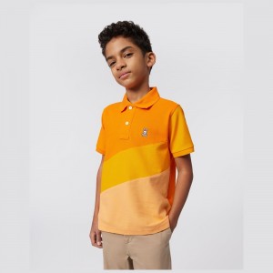 Camisa Polo Psycho Bunny Biscayne Printed Fashion Polo Niños 822 Neon Carrot | DQ0582194