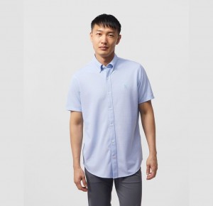 Camisas Psycho Bunny Astor Short Sleeve Cotton Pique Oxford Shirt Hombre 456 Jet Stream | DR8697251