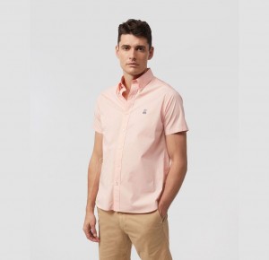 Camisas Psycho Bunny Poplin Short Sleeve Shirt Hombre Rosas | CV6908524