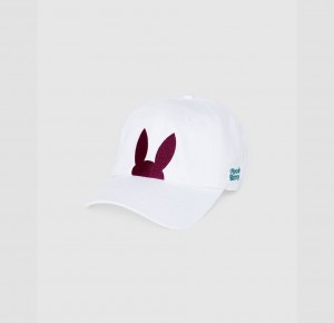Hats And Caps Psycho Bunny Cortlandt Embroidered Bunny Baseball Cap Hombre Blancos | BS4963125