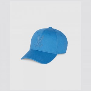 Hats And Caps Psycho Bunny Edge Baseball Cap Hombre Azules | HX2793518