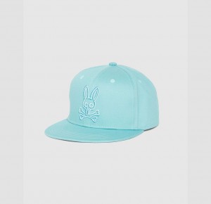 Hats And Caps Psycho Bunny Gresham Embroidered Baseball Cap Hombre Azules | DT8961507