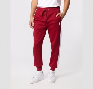 Pantalon Psycho Bunny Moro Knit Track Pants Hombre Rojos | NR2648731