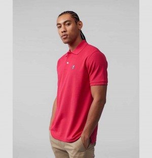 Polos Psycho Bunny Classic Polo Hombre 659 Bright Fuschia | CI8175620
