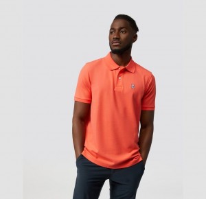 Polos Psycho Bunny Classic Polo Hombre Naranjas | WL1926354