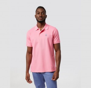 Polos Psycho Bunny Classic Polo Hombre Rosas | XW3560974