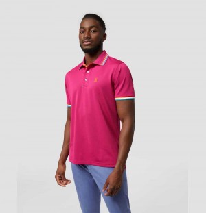 Polos Psycho Bunny Mercer Sport Polo Hombre 653 Wild Berry | DY3248067