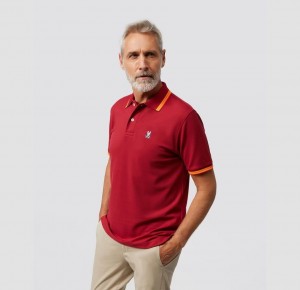 Polos Psycho Bunny Ochoco Short Sleeve Collar Stripe Polo Shirt Hombre Rojos | VD2678350