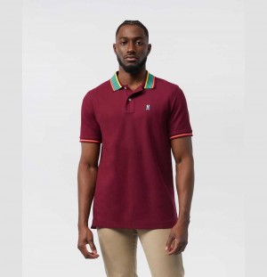 Polos Psycho Bunny York Stripe Collar Polo Hombre 607 Crimson | RD5972834
