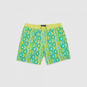 Ropa de Baño Psycho Bunny Apple Valley Swim Trunk Hombre 342 Limeade | UA6370459