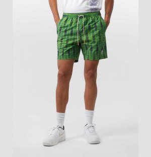 Short Psycho Bunny Hudson Swim Shorts Hombre 329 Neon Stem | DQ8650194
