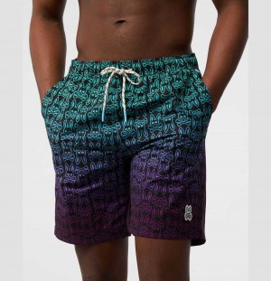 Short Psycho Bunny Obec Swim Shorts Hombre Azul Marino | GK4512708