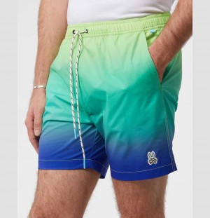 Short Psycho Bunny Rickman Hydrochromic Ombre Swim Shorts Hombre 407 Saphire | AX4830259