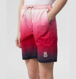 Short Psycho Bunny Rickman Hydrochromic Ombre Swim Shorts Niños Azul Marino | JK0534982