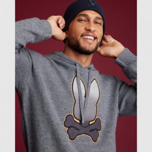 Suéteres Psycho Bunny Rossmoor Wool Hoodie Sweater Hombre 072 Heather Ash | TB4638719