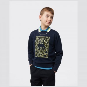Sweaters & Hoodies Psycho Bunny Pisani Embroidered Sweatshirt Niños Azul Marino | NJ3591420