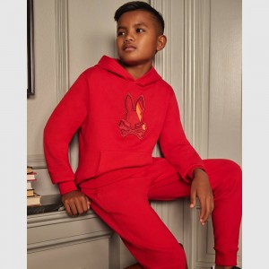 Sweatshirts And Hoodies Psycho Bunny Apple Valley Hoodie Niños Rojos | XS6780415