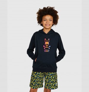 Sweatshirts And Hoodies Psycho Bunny Dylan Gradient Hoodie Niños Azul Marino | BZ6281537