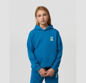 Sweatshirts And Hoodies Psycho Bunny Gresham Embroidered Hoodie Niños 434 Aegean Sea | HX1295360