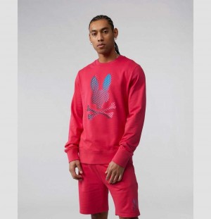Sweatshirts And Hoodies Psycho Bunny Hindes Sweatshirt Hombre 659 Bright Fuschia | CG9136025