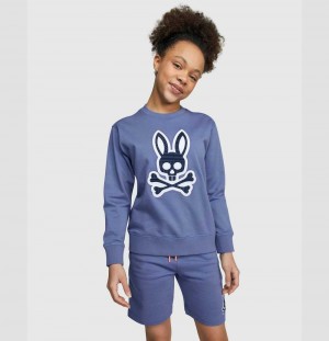 Sweatshirts And Hoodies Psycho Bunny Liam Sweatshirt Niños 424 Bal Harbour | QD8150642