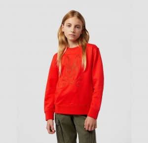 Sweatshirts And Hoodies Psycho Bunny Long Sleeve Thomaston Bunny Sweatshirt Niños Rojos | RP5417860