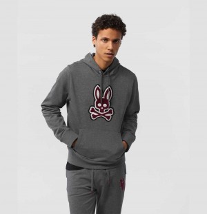 Sweatshirts And Hoodies Psycho Bunny Patchin Chenille Bunny Logo Hoodie Hombre 498 Heather Storm | BJ0429613
