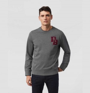 Sweatshirts And Hoodies Psycho Bunny Patchin Chenille Bunny Logo Sweatshirt Hombre 498 Heather Storm | XC8134796