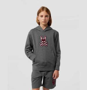 Sweatshirts And Hoodies Psycho Bunny Patchin Chenille Hoodie Niños 498 Heather Storm | NI9548620