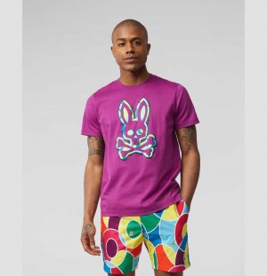 Tees Psycho Bunny Ash Graphic Tee Hombre 560 Summer Plum | NK7460529
