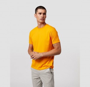 Tees Psycho Bunny Chatham Side Bunny Tee Hombre Dorados | SK9187634