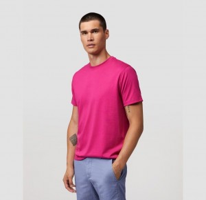 Tees Psycho Bunny Chatham Side Bunny Tee Hombre 653 Wild Berry | FX1478930