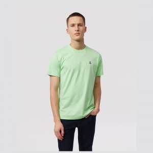 Tees Psycho Bunny Classic Crew Neck Tee Hombre Verde Menta | DY1980357