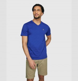 Tees Psycho Bunny Classic V Neck Tee Hombre 407 Sapphire | PF6412093