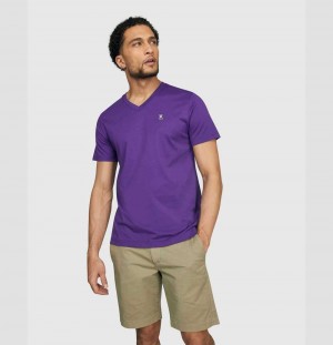 Tees Psycho Bunny Classic V Neck Tee Hombre 559 Vivid Violet | OH4127083