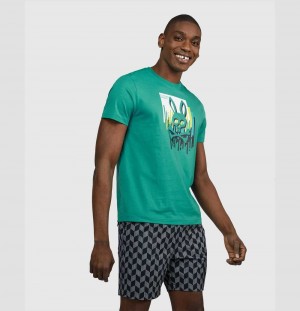 Tees Psycho Bunny Hayden Graphic Tee Hombre 391 Courtside | KX3715896
