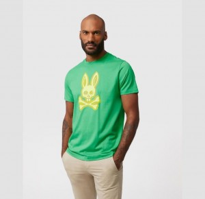 Tees Psycho Bunny Hyde Puff Print Graphic Hombre Verdes | FH2937016